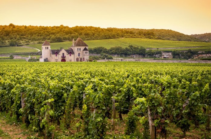 Bourgogne verslaat exportrecords